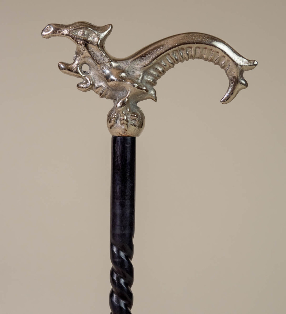 silver colored handle with twisted wood staff